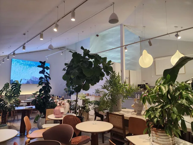 Kumo Dessert Café interior with lush plants, sculptural pendant lights and a large blue LED screen
